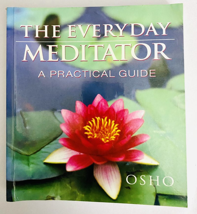 The Everyday Meditator: A Practical Guide