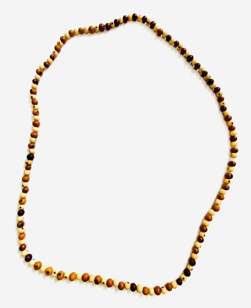 Apurina People's natural mix of seeds handcrafted necklace