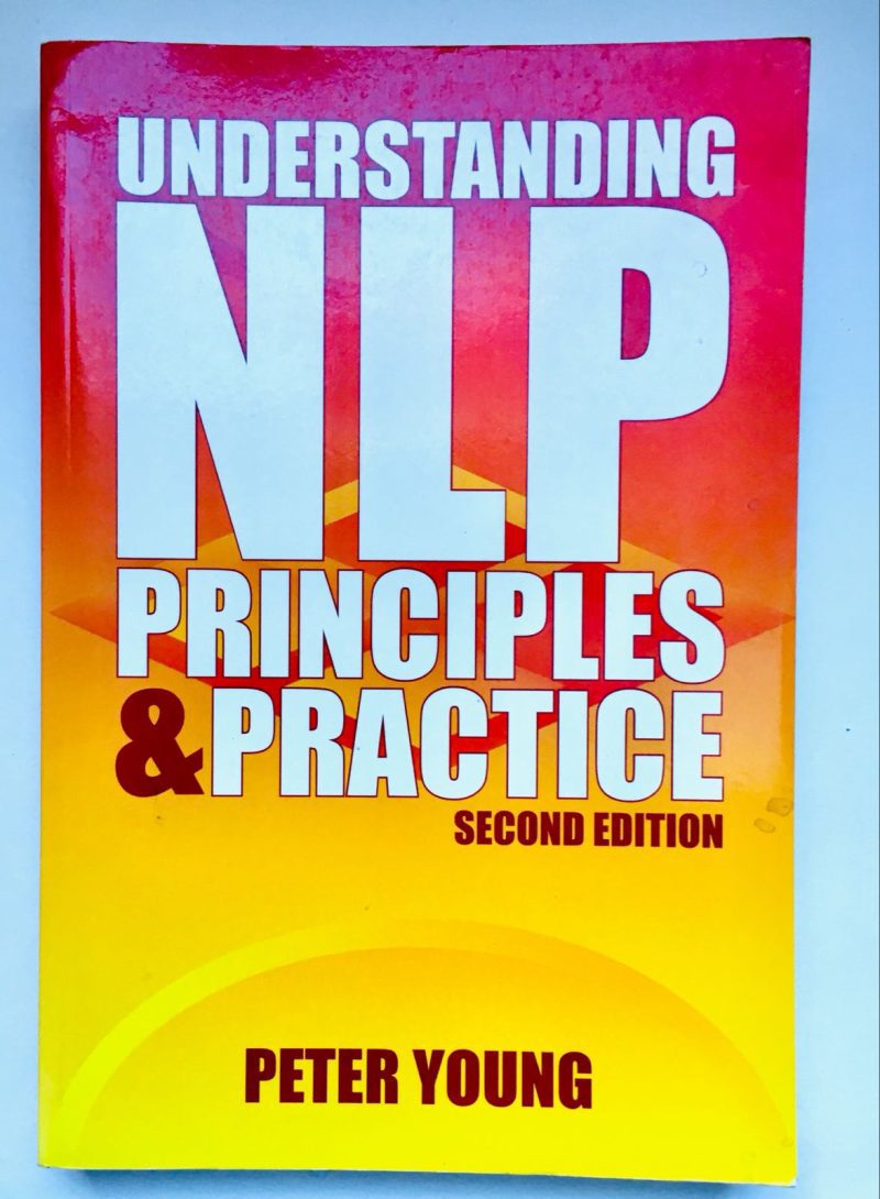 Understanding NLP Principles and Practice