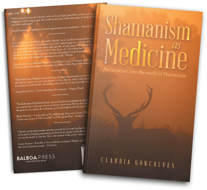 Paperback: Shamanism as Medicine - Image 2